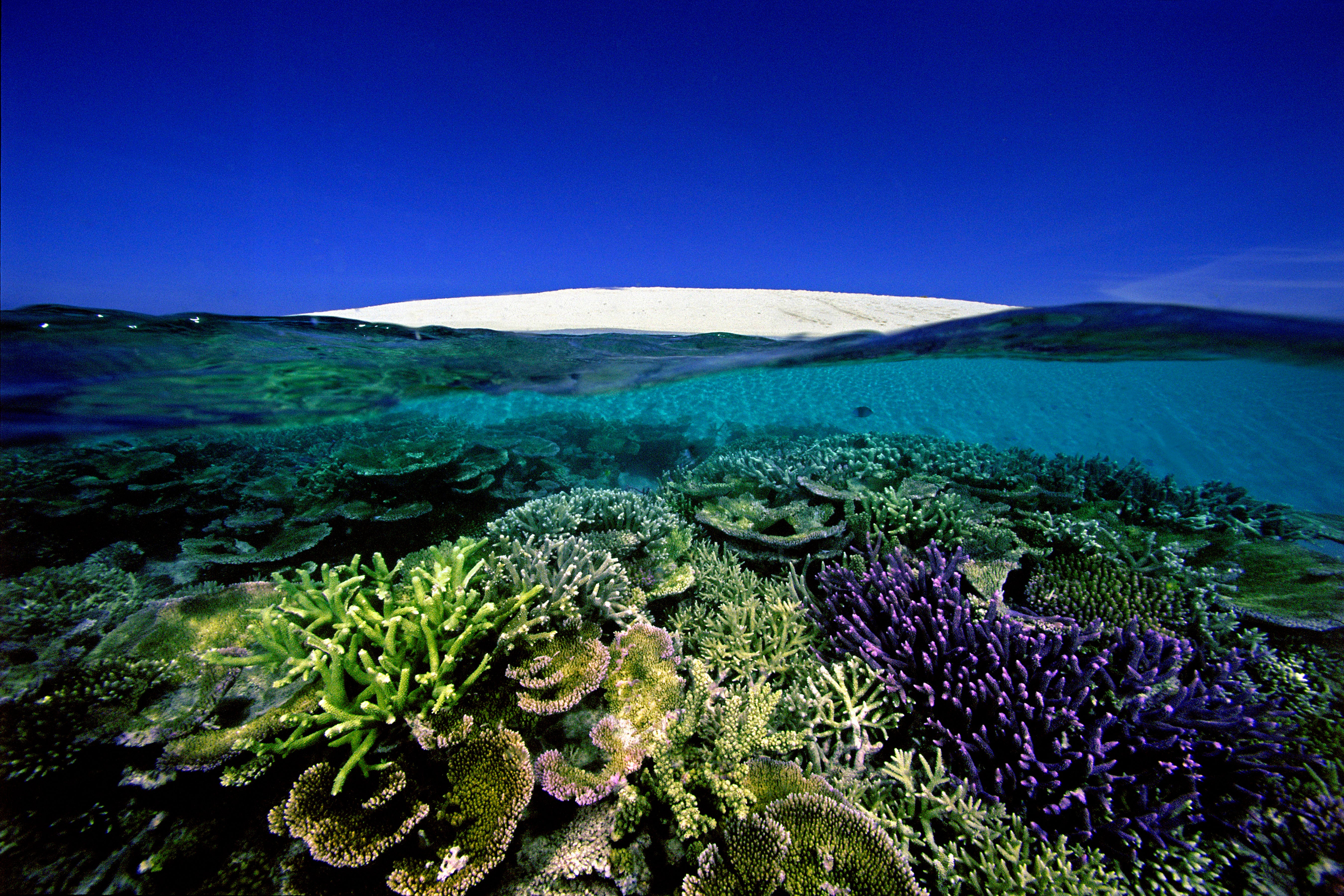 Reef front at Number 6 Sand Cay, Great Barrier Reef, Australia Reef front at Number 6 Sand Cay, Great Barrier Reef, Australia