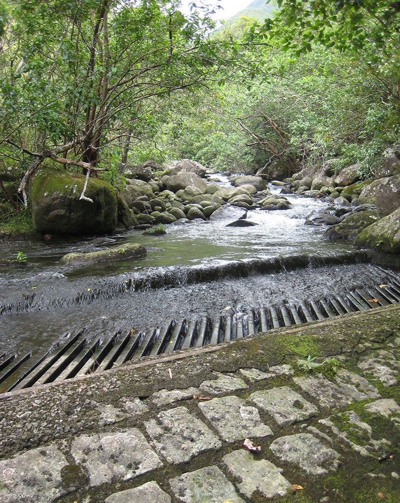 Upper diversion on Waihe'e River, with the entire flow of the river being diverted. (August 9, 2010)