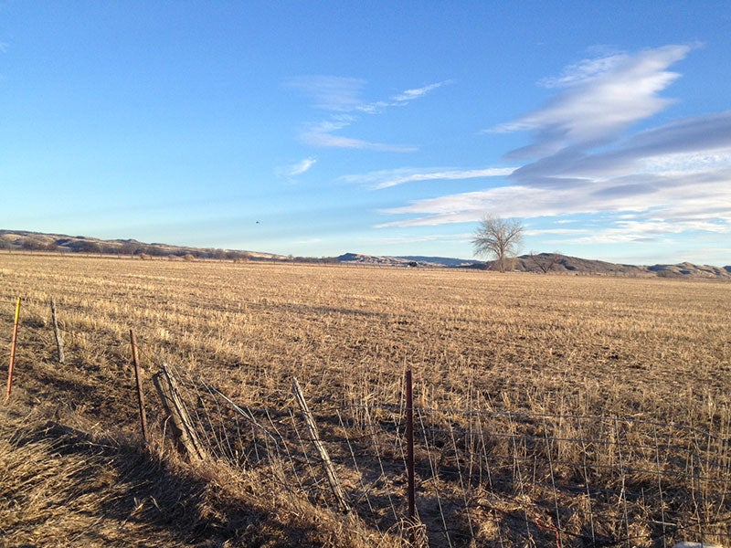 The landowners collectively seek to establish the 'Silvertip Zoning District' to cover nearly 3,000 acres of agricultural land north of Belfry. Creation of the district is the first step to establish solid protections for land, air and water quality.