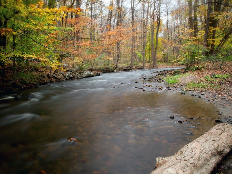 Beaver Dam River in the Adirondack Park Forest Preserve. Beaver Dam River in the Adirondack Park Forest Preserve.