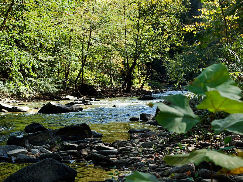 Coal River in West Virginia. Coal River in West Virginia.