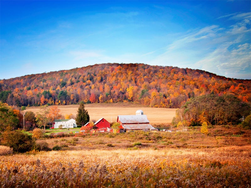 A farmhouse near the town of Dryden in upstate New York. A farmhouse near the town of Dryden in upstate New York.