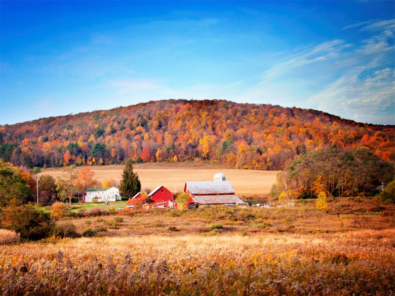 A farmhouse near the town of Dryden in upstate New York.