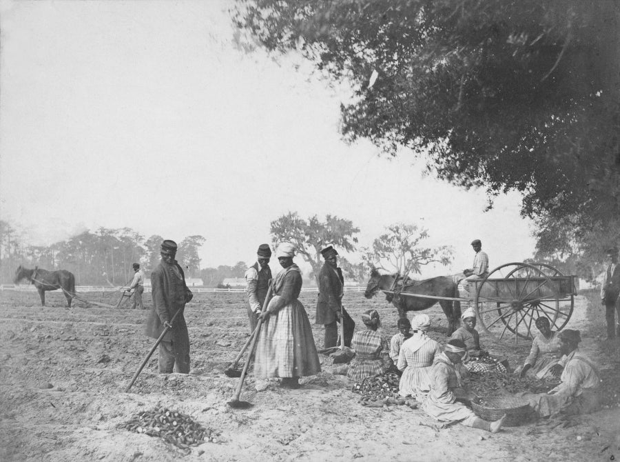 Archival photograph of enslaved workers on a plantation in South Carolina on April 8, 1862.