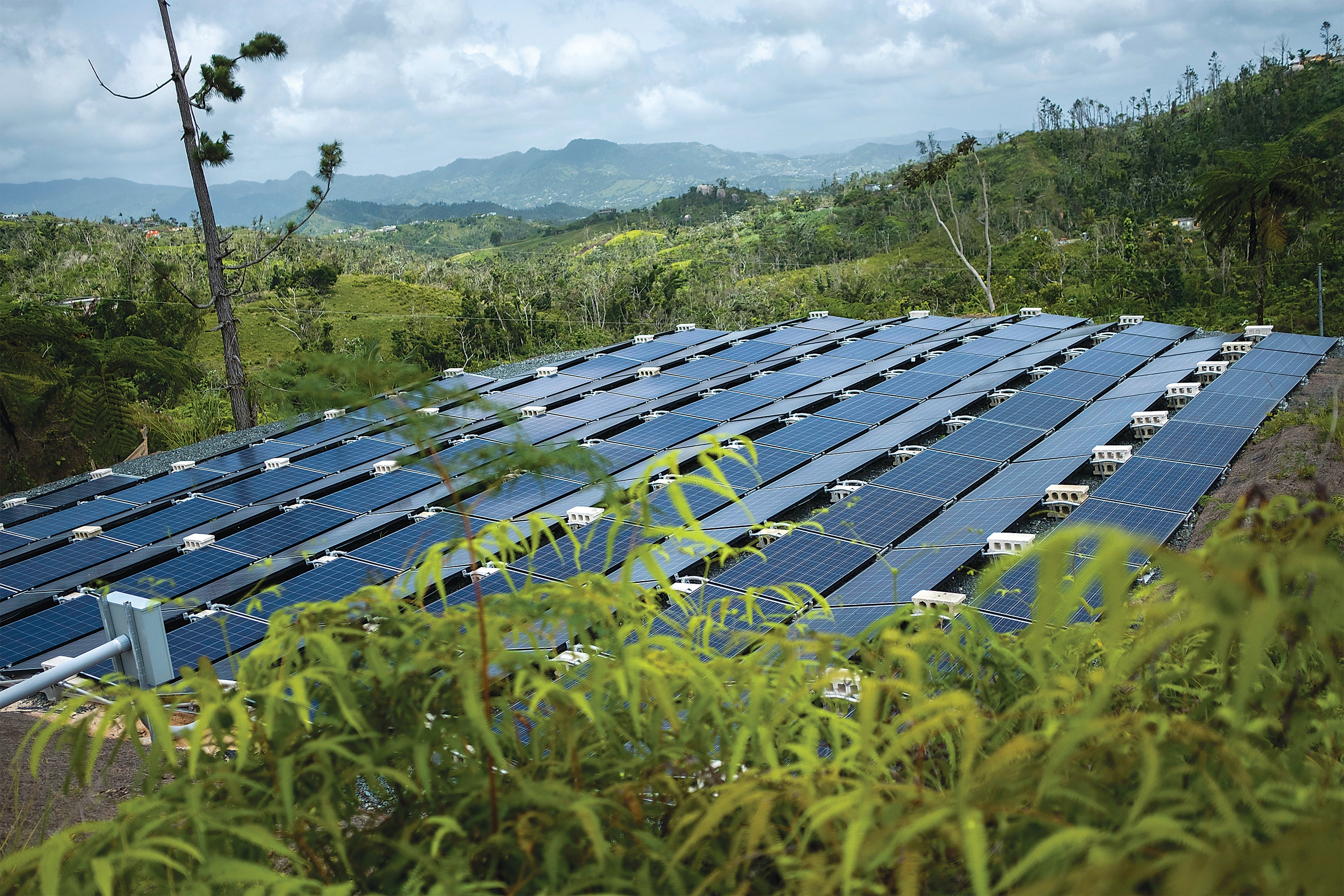 Solar panels power 12 homes in Las Piedras, Puerto Rico.