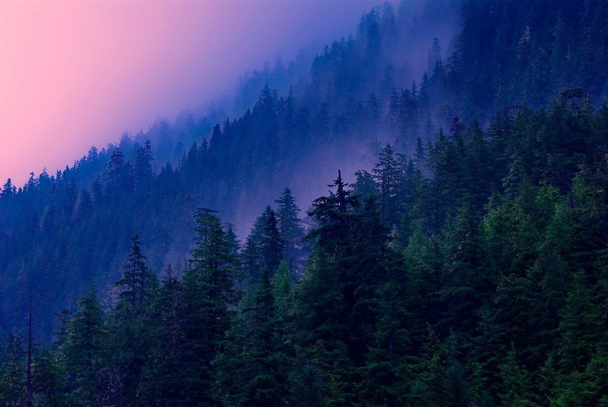 Early morning light shines through the clouds in the Tongass National Forest near Ketchikan, Alaska.