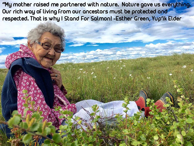 Photo of Esther Green, Yup'ik elder, with the quote: 'My mother raised me partnered with nature. Nature gave us everything. Our rich way of living from our ancestors must be protected and respected. That's why I Stand For Salmon!'