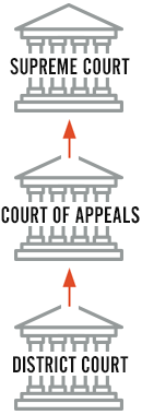 Graphic of the three tiers of the federal court system: District Courts, Appeal Courts, U.S. Supreme Court.