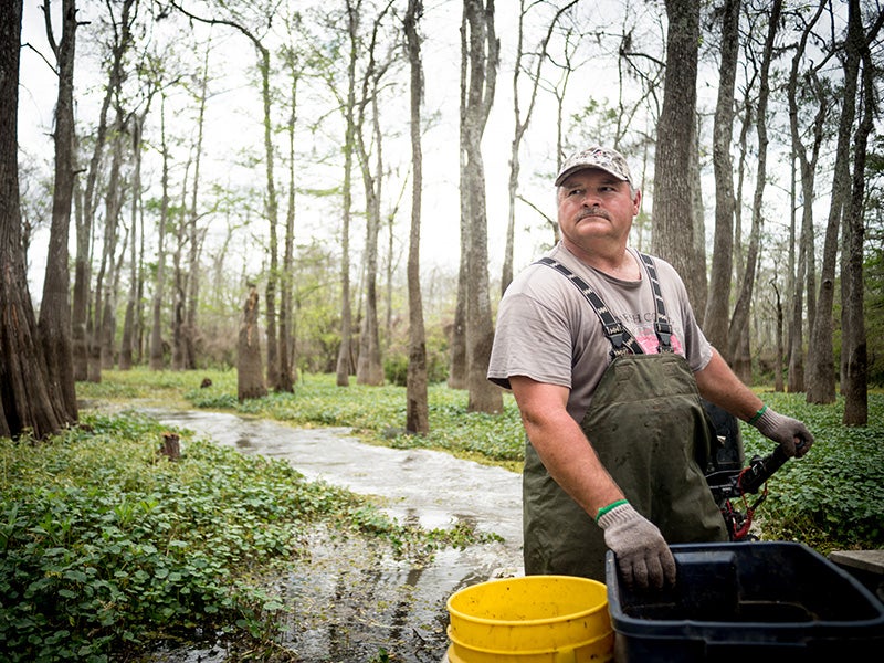 Crawfisherman Jody Meche drives through Louisiana’s Atchafalaya Basin on his way to check his traps.