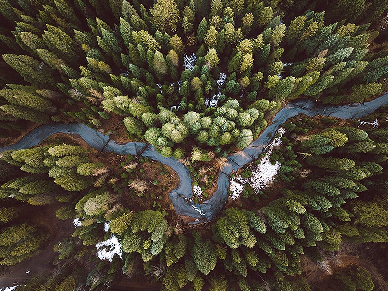 A river winds through a forest seen directly from above near Klamath Falls, Oregon.