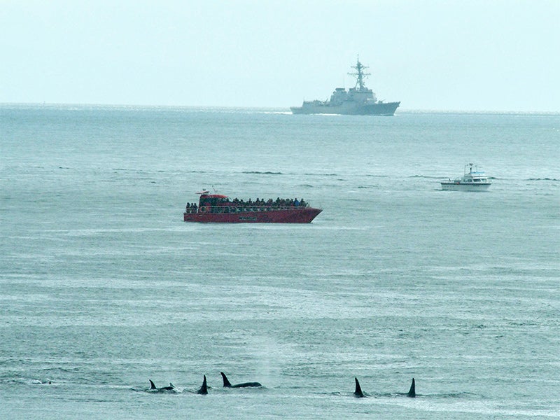 A U.S. Navy vessel, with a research ship and pod of orcas in the foreground.
