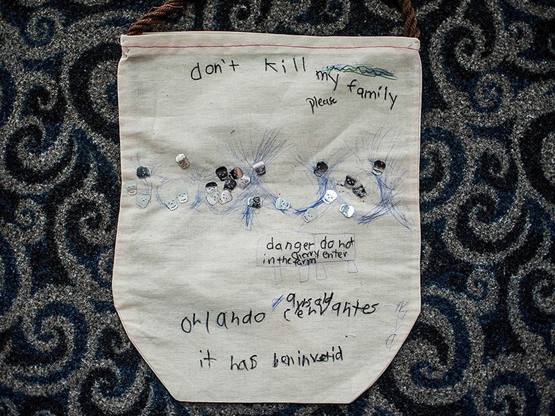 A bag made by the child of a farmworker. The bag, embroidered with the words "Don't kill my family please," is adorned with skulls. It was presented to Sen. Charles Shumer's office by farmworkers and advocates, who had traveled to Washington, D.C. in July