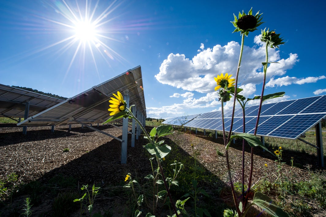 Solar panels at Mesa Verde Visitor and Research Center in Montezuma County, Colorado