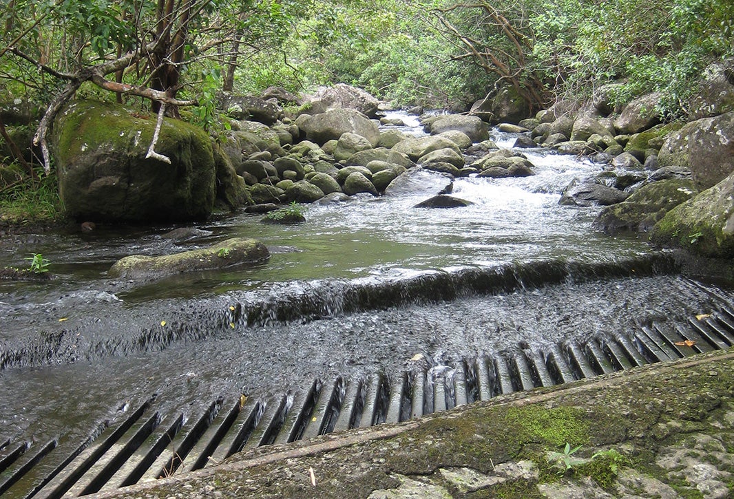 Restoration of Waihe`e River and Waiehu Stream. Upper diversion on Waihe`e River with the entire flow of the river being diverted.