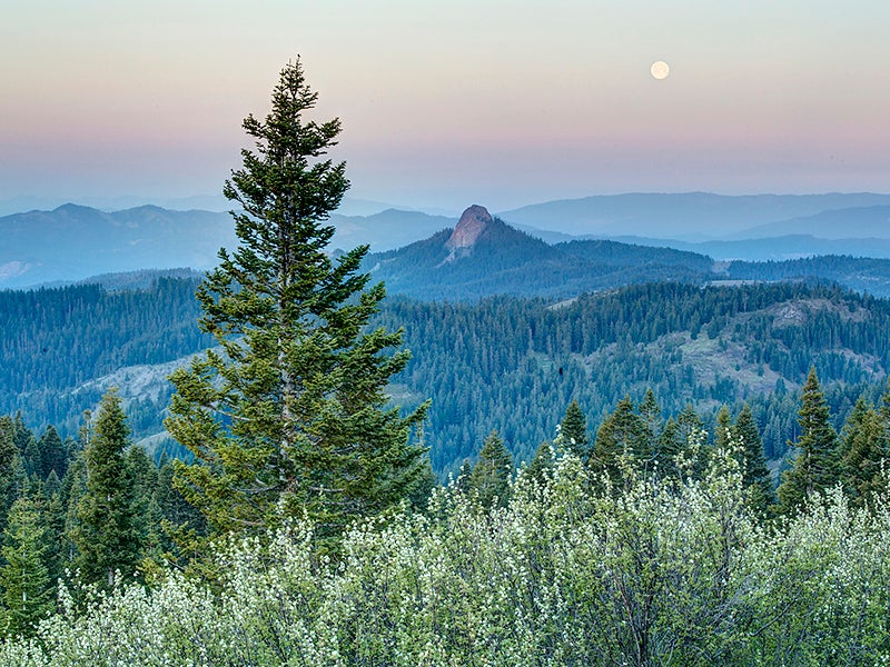 A view from Cascade-Siskiyou National Monument, which contains many old-growth trees.