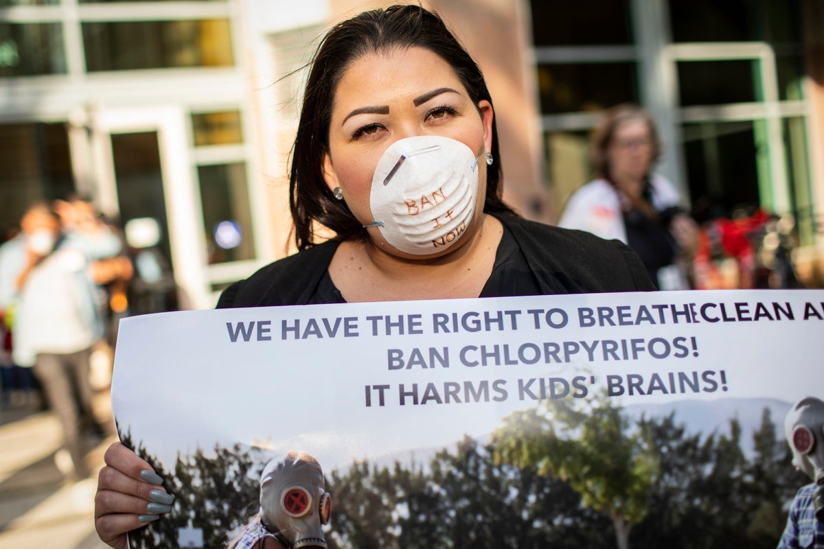 California activists rallied after a public hearing in 2018 on restricting the uses of chlorpyrifos