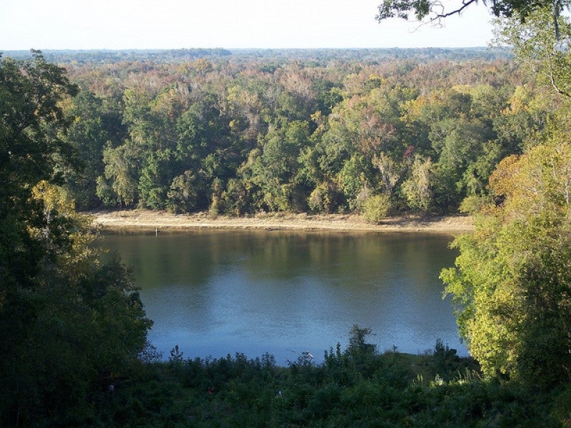 Florida Panhandle's Apalachicola River