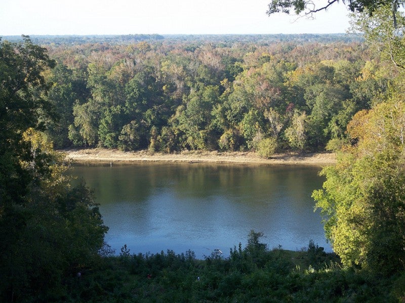 Apalachicola River Florida Panhandle's Apalachicola River