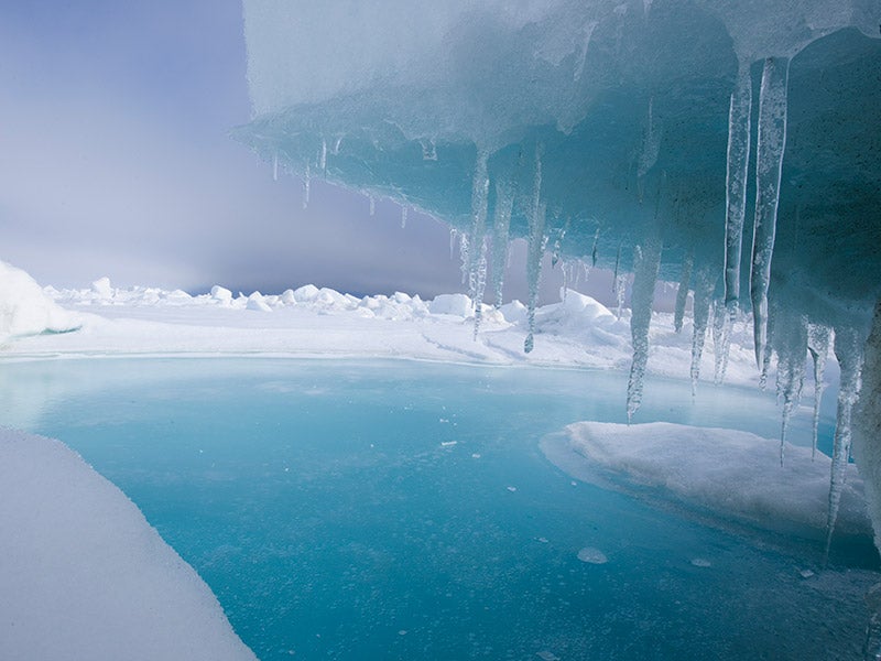 Arctic ice at Chukchi Sea, Alaska. The rapid melting of Arctic ice would raise sea levels and render low-lying areas such as Miami and New Orleans more vulnerable to coastal flooding. Arctic ice at Chukchi Sea, Alaska. The rapid melting of Arctic ice would raise sea levels and render low-lying areas such as Miami and New Orleans more vulnerable to coastal flooding.
