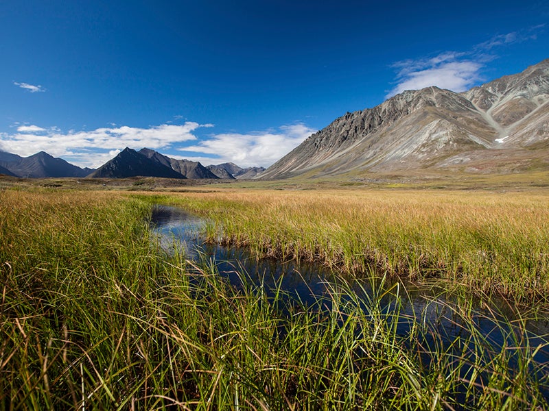 Arctic National Wildlife Refuge Arctic National Wildlife Refuge