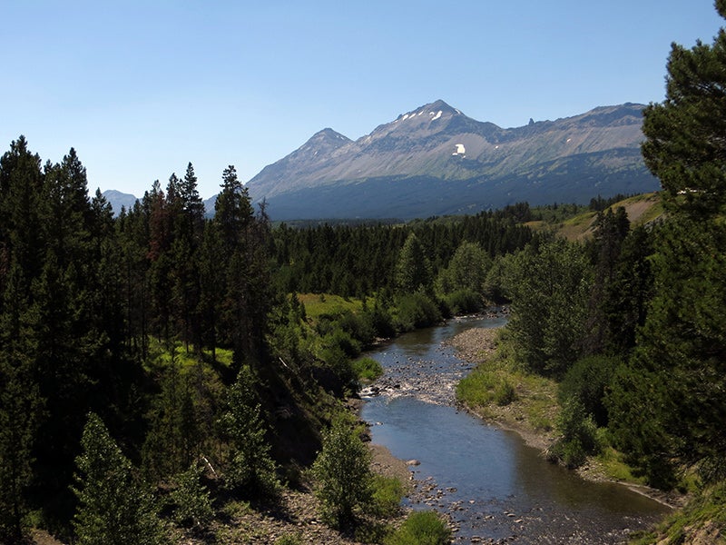 Two Medicine River from the Hall Creek trail. Two Medicine River from the Hall Creek trail.