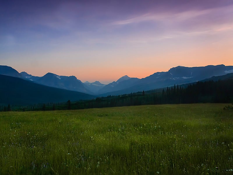 An alpine meadow overlooking Two Medicine Valley. An alpine meadow overlooking Two Medicine Valley.