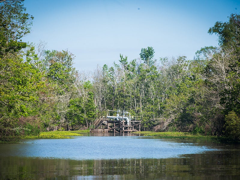Oil and gas infrastructure in the Atchafalaya Basin, where hundreds of pipelines have been built. Oil and gas infrastructure in the Atchafalaya Basin, where hundreds of pipelines have been built.