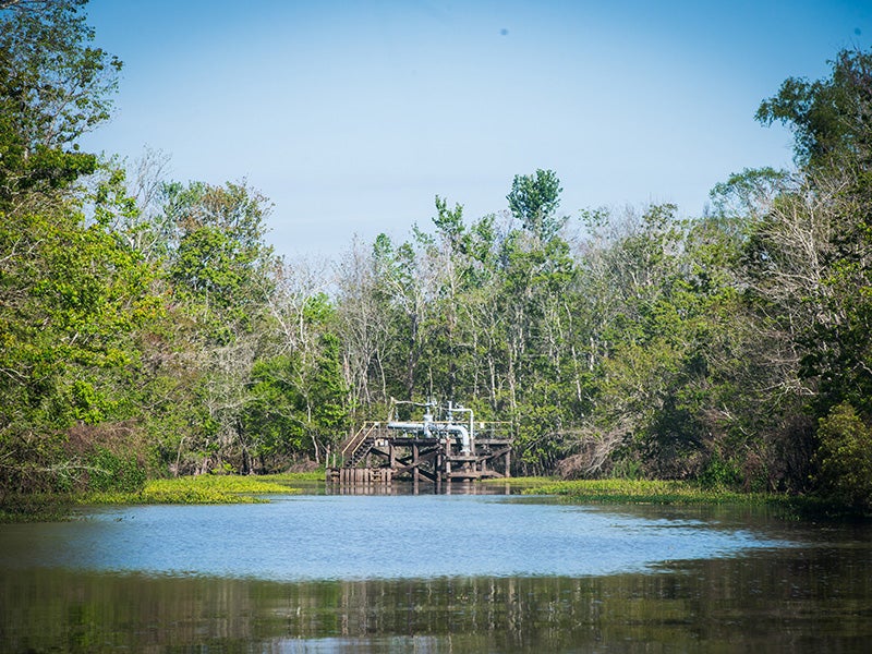 Oil and gas infrastructure in the Atchafalaya Basin, where hundreds of pipelines have been built.