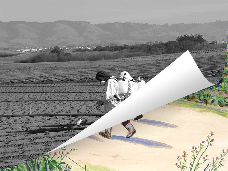 Black and white image of two farm workers in protective clothing spraying insecticide, peeling back to review a colorful illustration of greenery.