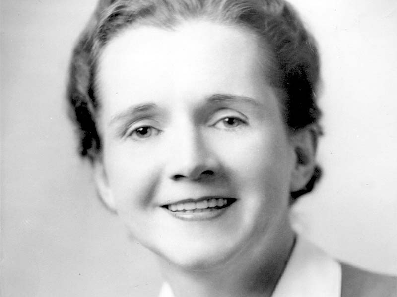 Rachel Carson, 1907-1964. Rachel Carson, 1907-1964.
