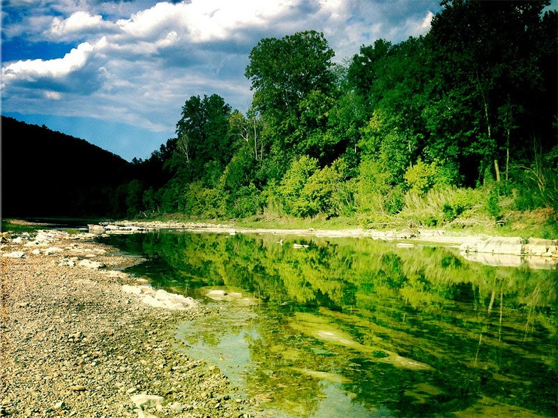 Buffalo National River is one of the few remaining undammed rivers in the lower-48 states. Buffalo National River is one of the few remaining undammed rivers in the lower-48 states.