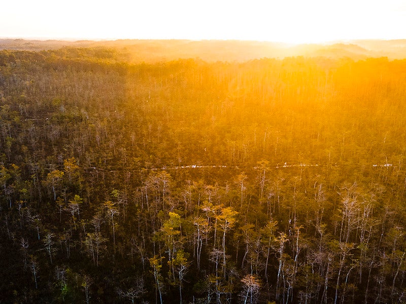 Aerial view of the Big Cypress National Preserve in South Florida on October 13, 2021. Aerial view of the Big Cypress National Preserve in South Florida on October 13, 2021.