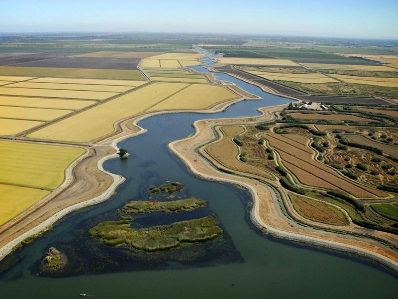 Earthjustice is representing Restore the Delta to oppose a massive diversion of fresh water from California’s Delta for Governor Jerry Brown's proposed “Twin Tunnels” project. Earthjustice is representing Restore the Delta to oppose a massive diversion of fresh water from California’s Delta for Governor Jerry Brown's proposed “Twin Tunnels” project.