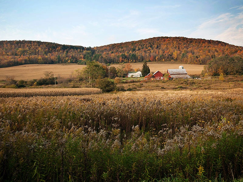Small farms dot the landscape around the Town of Dryden. Small farms dot the landscape around the Town of Dryden.