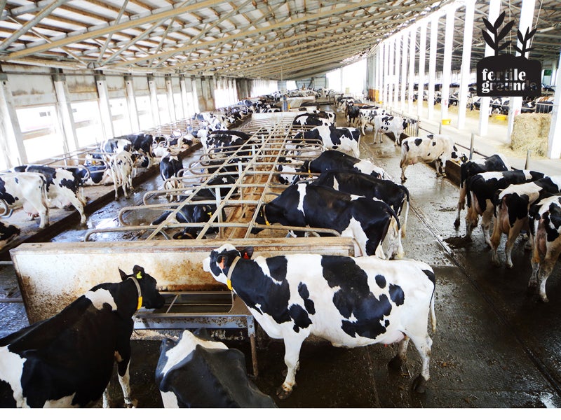 The Food and Drug Administration has failed to crack down on the abuse of life-saving medicines on factory farms. The Food and Drug Administration has failed to crack down on the abuse of life-saving medicines on factory farms.