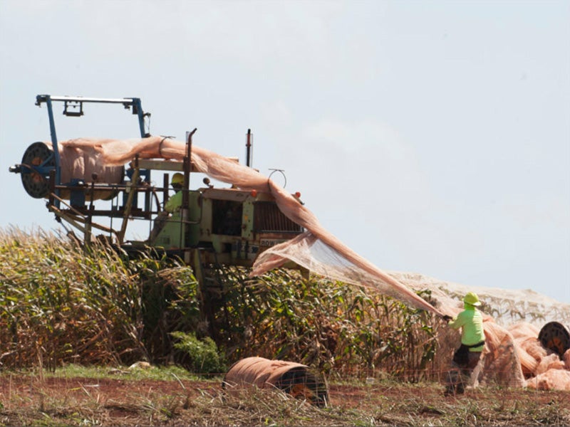 Farming operations on Kaua‘i. Farming operations on Kaua‘i.