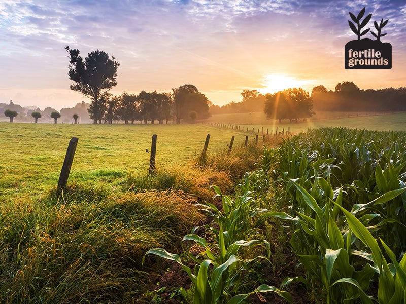 Steven Van Verre/Shutterstock Steven Van Verre/Shutterstock