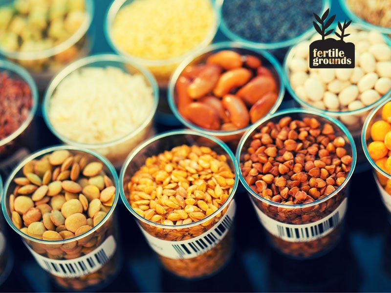 Seeds in a laboratory Seeds in a laboratory