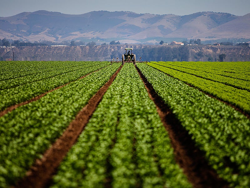 A farm field. A farm field.