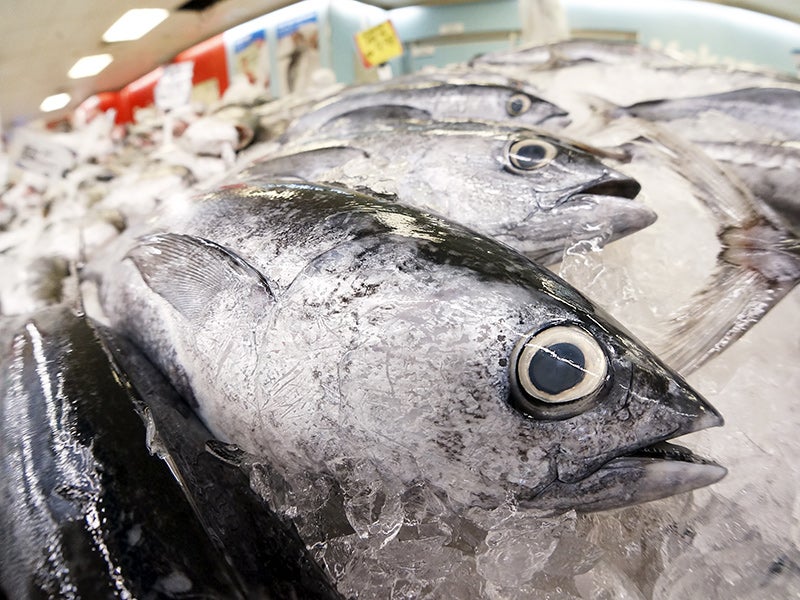 A seafood market. A seafood market.