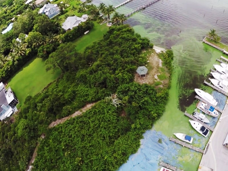 When it comes to green slime, the Florida state legislature has missed a critical point. 