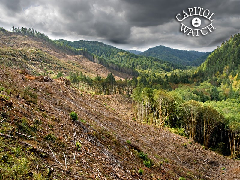 Clear-cut logging operations have already devastated forests in Oregon. This bill will allow even larger areas to be razed for timber production without public comment. Clear-cut logging operations have already devastated forests in Oregon. This bill will allow even larger areas to be razed for timber production without public comment.