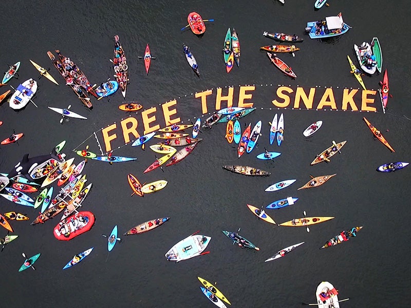 An aerial view of the Free the Snake flotilla 2016 Free the Snake flotilla 2016