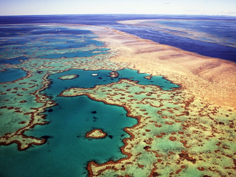 The Great Barrier Reef The Great Barrier Reef