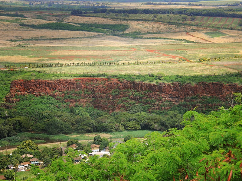 Seed crop fields above Waimea residences affected by pesticide drift. Seed crop fields above Waimea residences affected by pesticide drift.