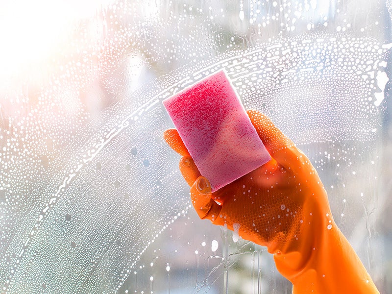 sponge and cleaning fluid sponge and cleaning fluid
