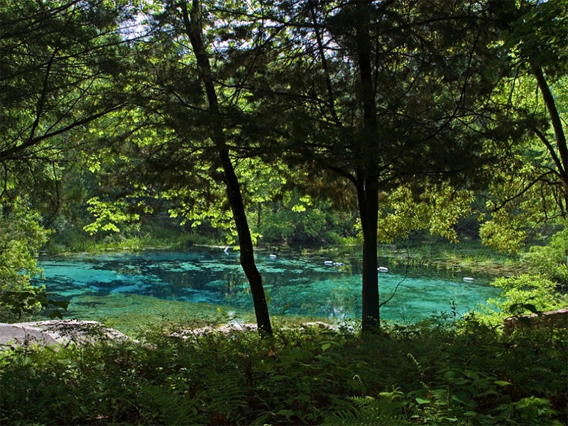 Ichetucknee Spring. Ichetucknee Spring.