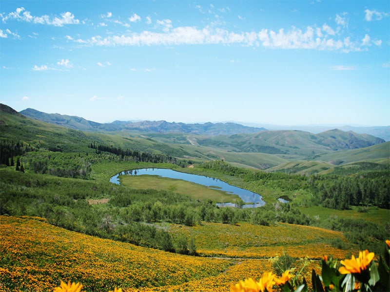 Federal Court Rejects A Nevada County’s Attempt To Claim Road On