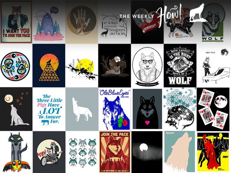 Help spread the word that wolves deserve to be respected and protected; vote for your favorite wolf art to be included in a national advocacy campaign this fall! Help spread the word that wolves deserve to be respected and protected; vote for your favorite wolf art to be included in a national advocacy campaign this fall!