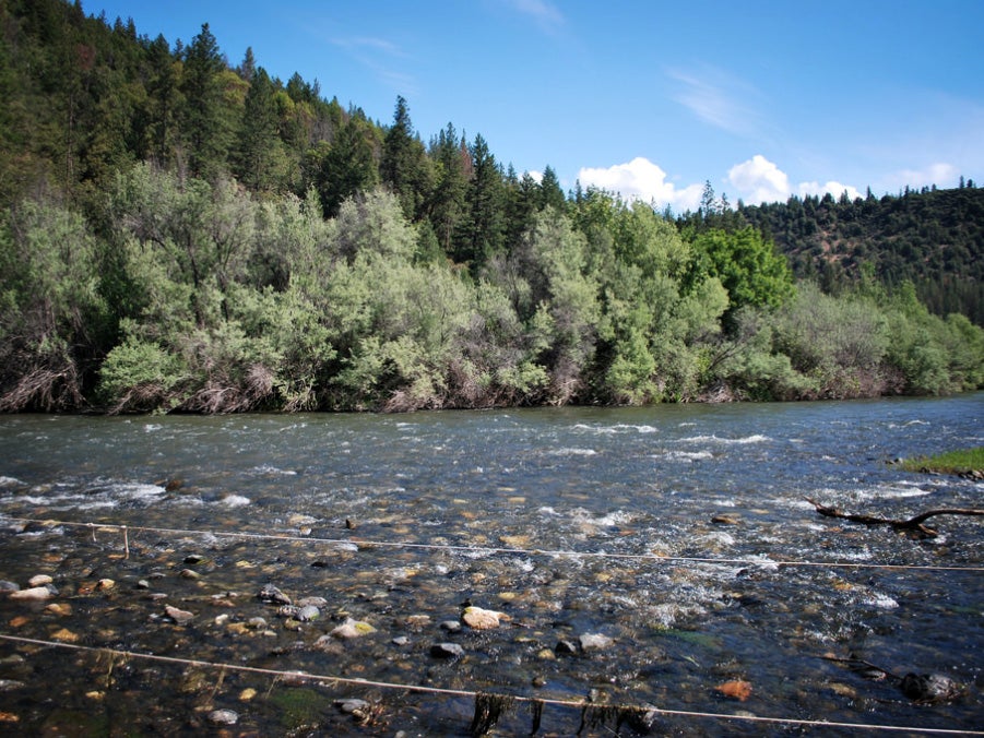 The mainstem of the Klamath River. The Klamath flows through Oregon and northern California. The mainstem of the Klamath River. The Klamath flows through Oregon and northern California.